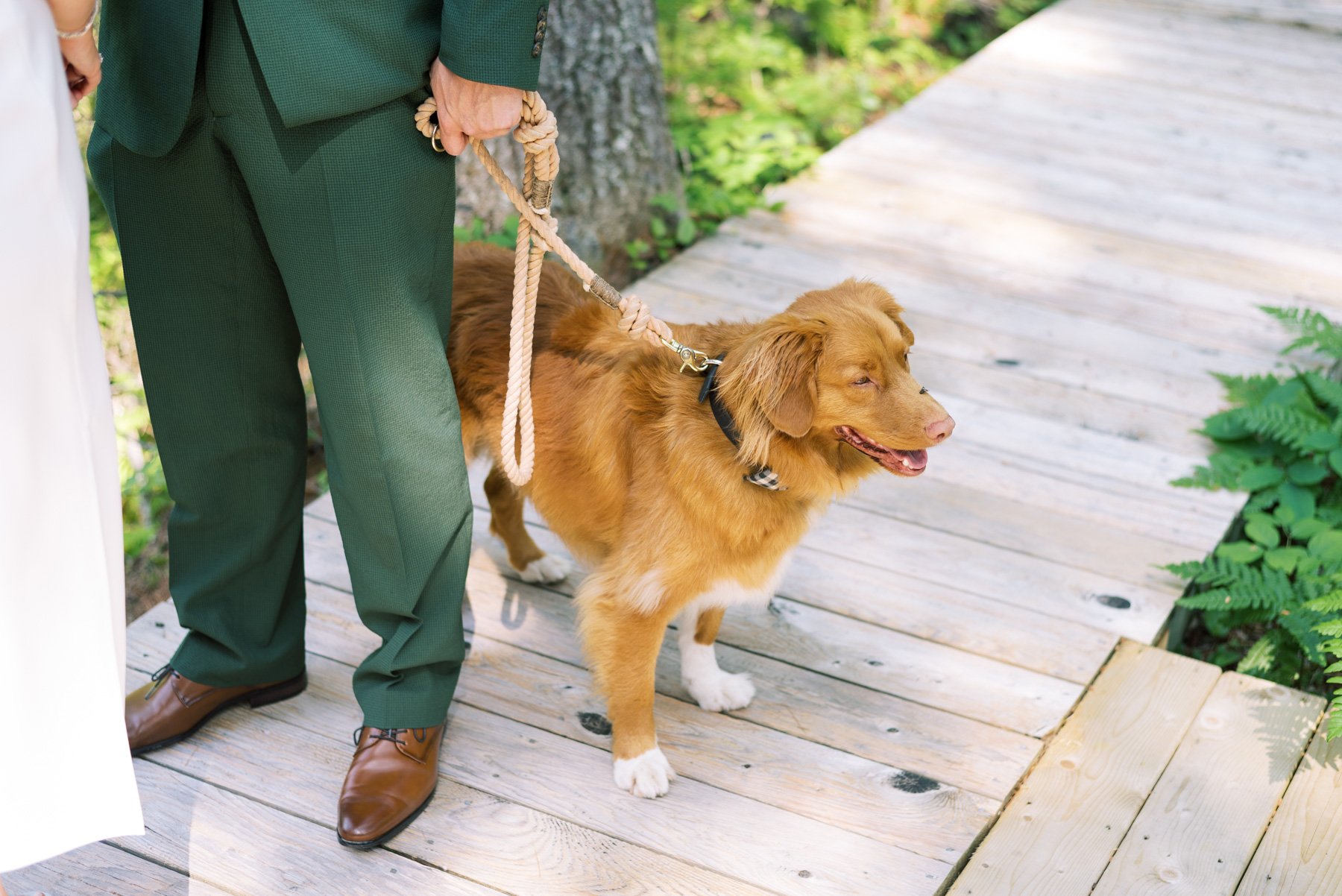 Trout_Point_Elopement_0136.jpg