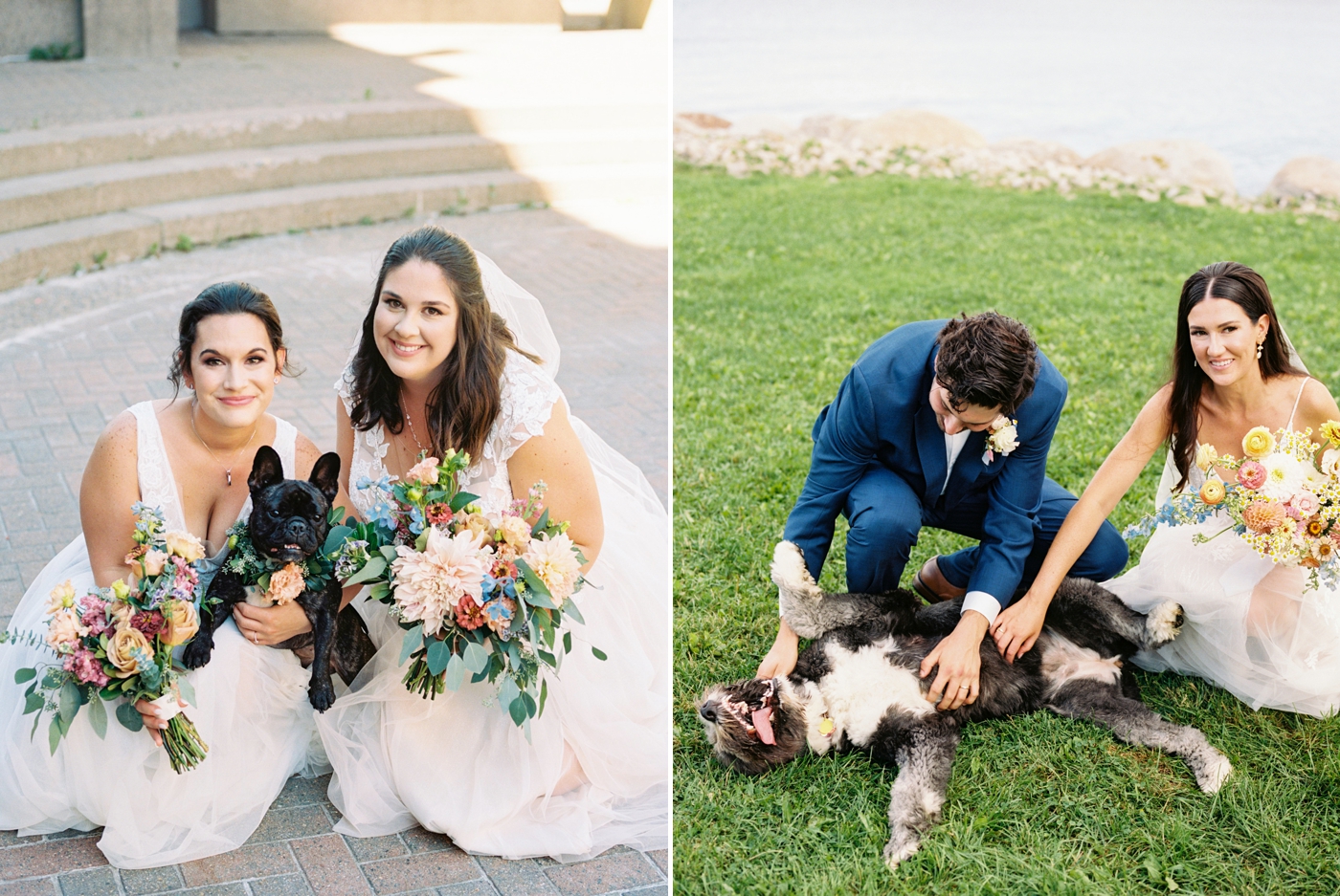 How to include your dog in your wedding or engagement session - Alyssa Joy Photography